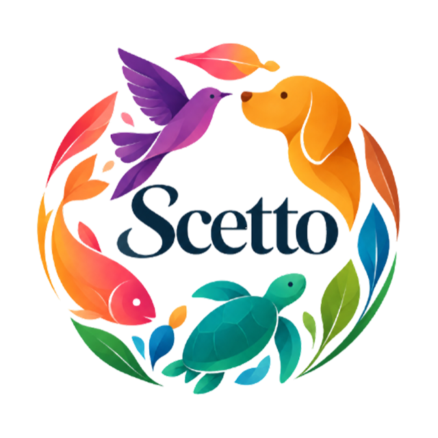 Scetto
